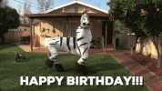 1720731165039.gif