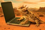 Laptop Frog in the desert.jpg Laptop Frog in the desert.jpg