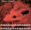 1752247049897.jpeg