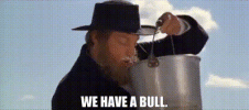 IMG_2442.gif