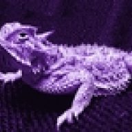 cdsfrog