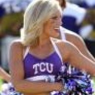 tcuseagull